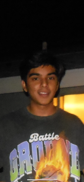 aryan paliwal